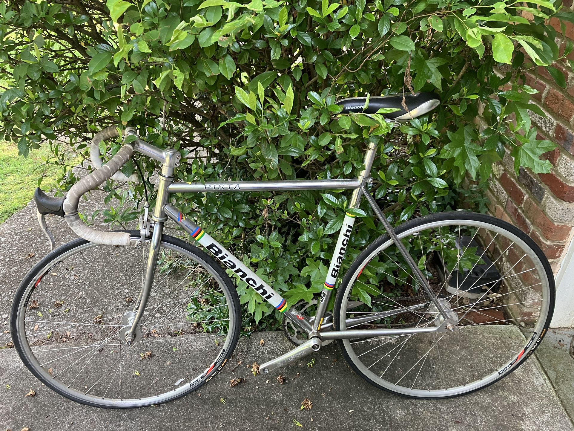 Italian Classic Single Speed/Fixed Gear Bicycle