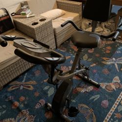 Pleny Folding Exercise Bike
