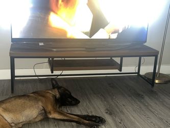 TV ENTERTAINMENT