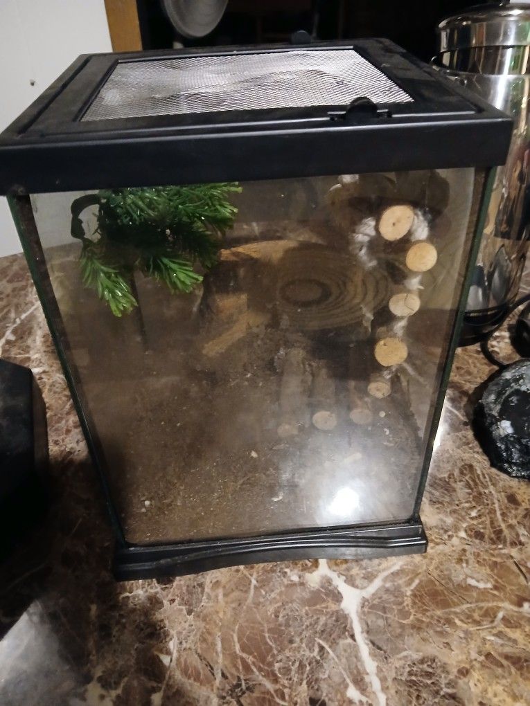 Lizard Cage