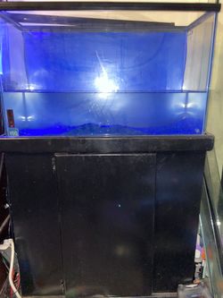 40 gallon tank with stand and everything you need