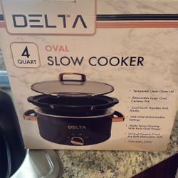 Delta Slow Cooker