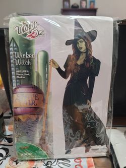 Witch costume for sale!