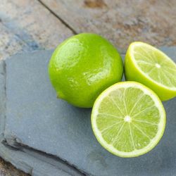 Bear Lime Seedless Standard Size Trees 😃😃😃😃🌿🌿🌿🌿🌿