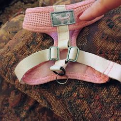 Tiny Dog Harness 