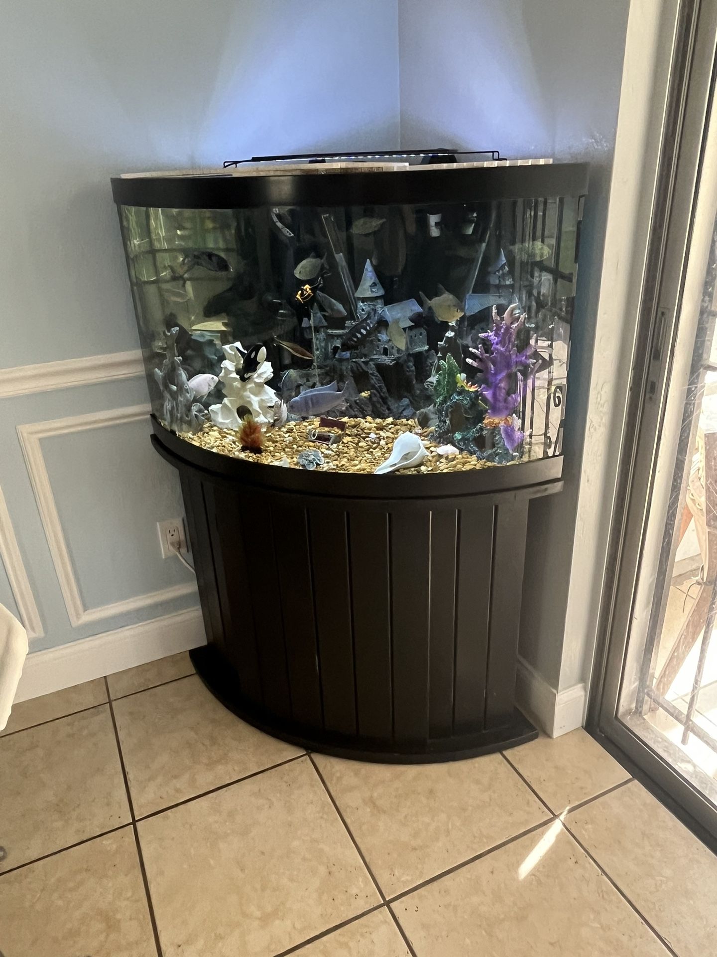 Corner Aquarium 