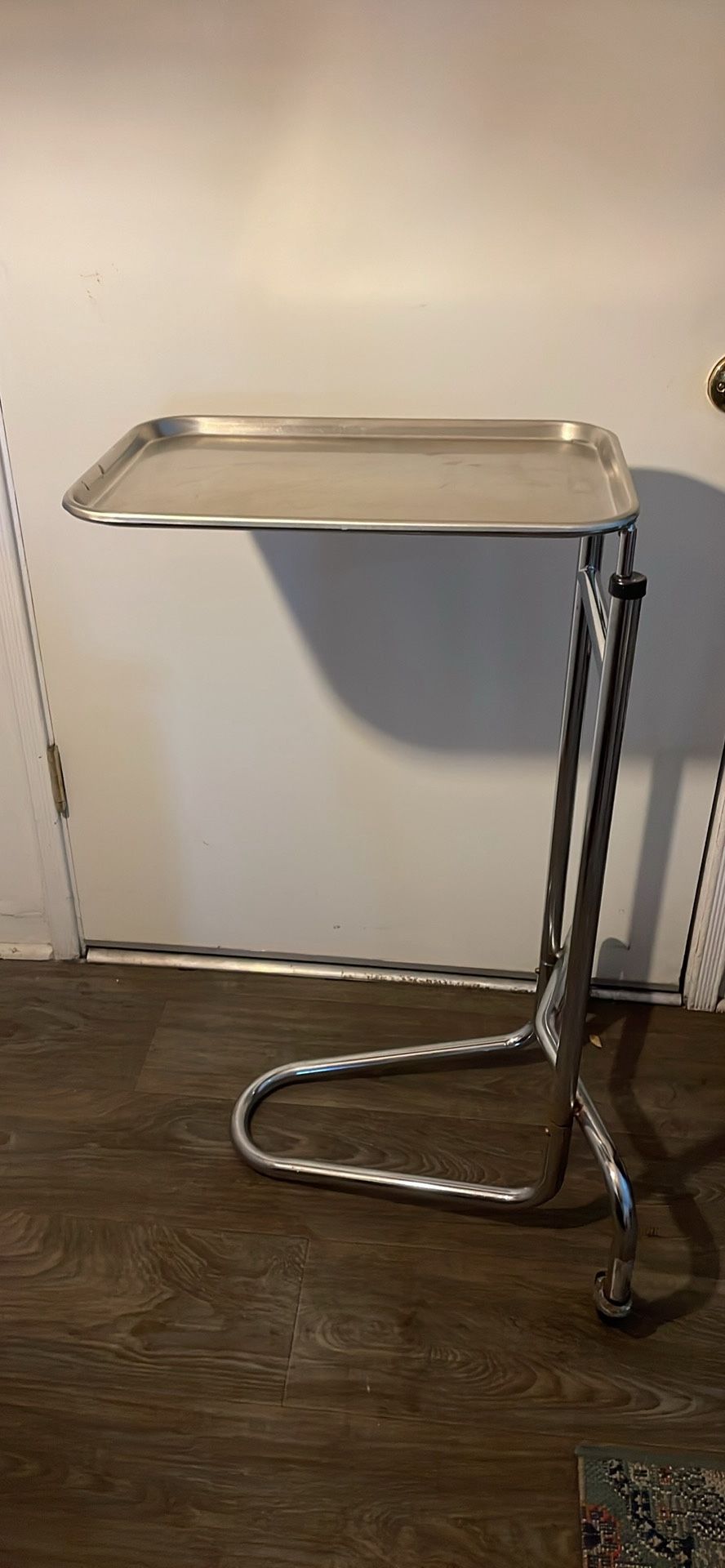 Stainless Steel Tray/ Rolling Cart / Tattoo Tray