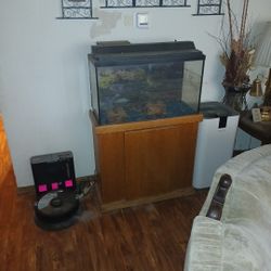 Small Fish Tank And Stand