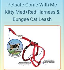 Come with me Kitty Bungee Leash & Collar