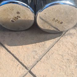 50lb dumbbells