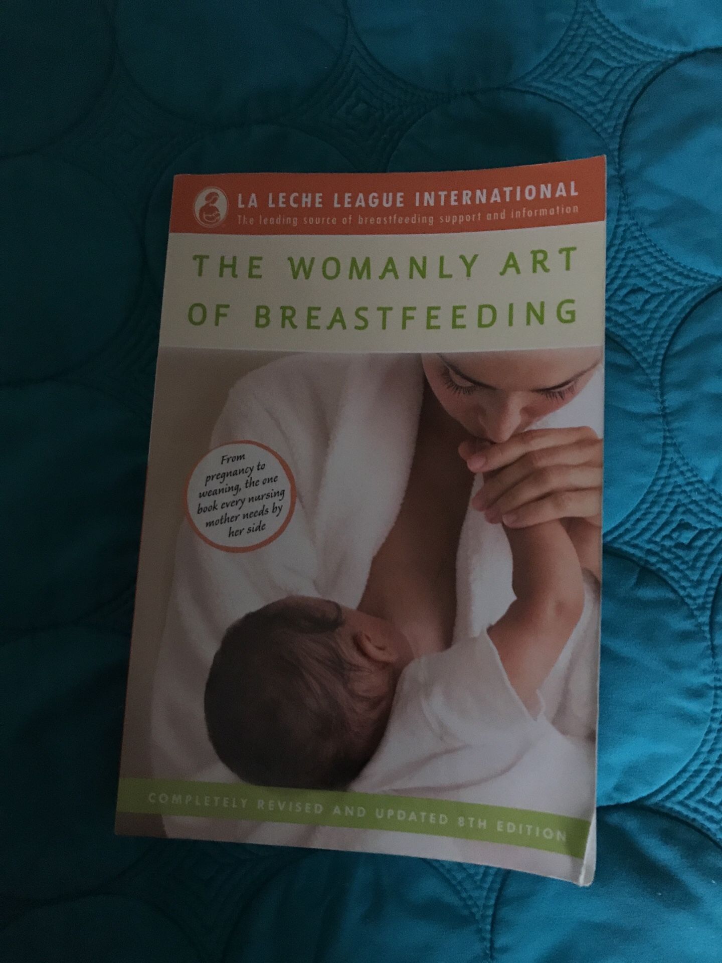 Breastfeeding Book (pregnancy, birth, parenting)