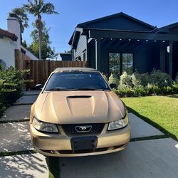 2001 Ford Mustang