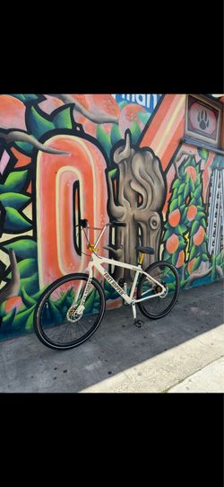 SE Fast Ripper 29in Custom