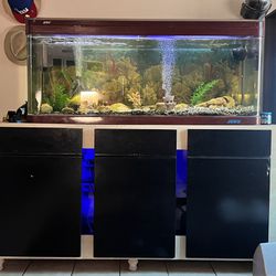150 Gallons Jebo Fish Tank And Stand