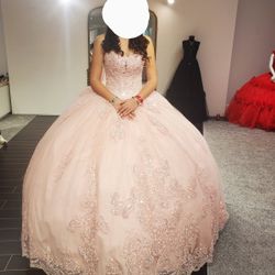 Quinceanera Dress- Brand New!