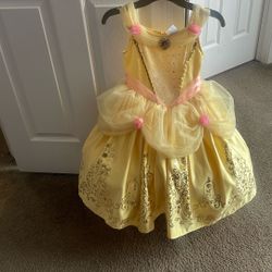 Princess Disney Dress 