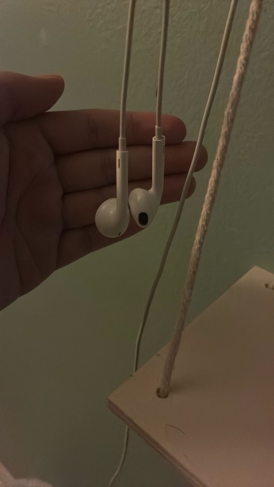 apple earbuds wire