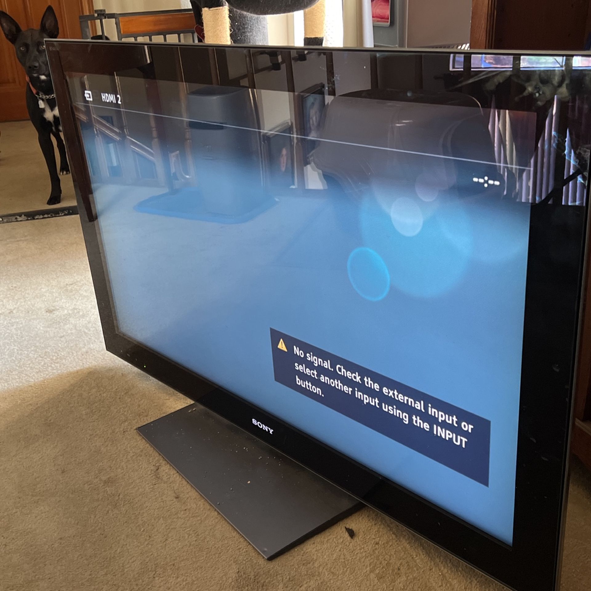 TV