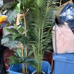 FAKE PLANTS $10 Each 