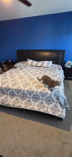 Bedframe and Headboard