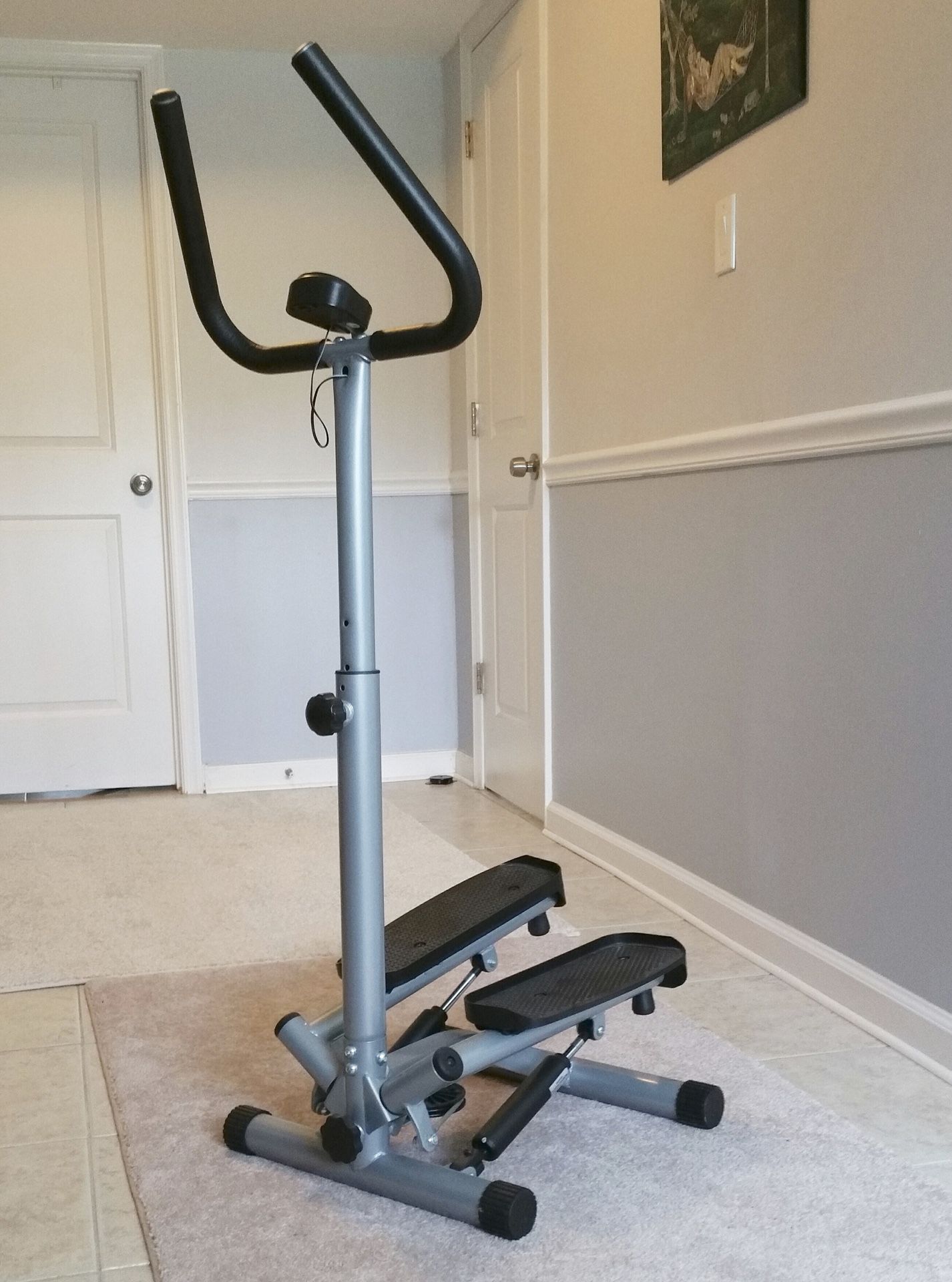 Sunny Health & Fitness Twist Stepper with Handlebars