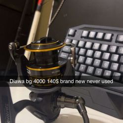 Diawa Bg 4000 
