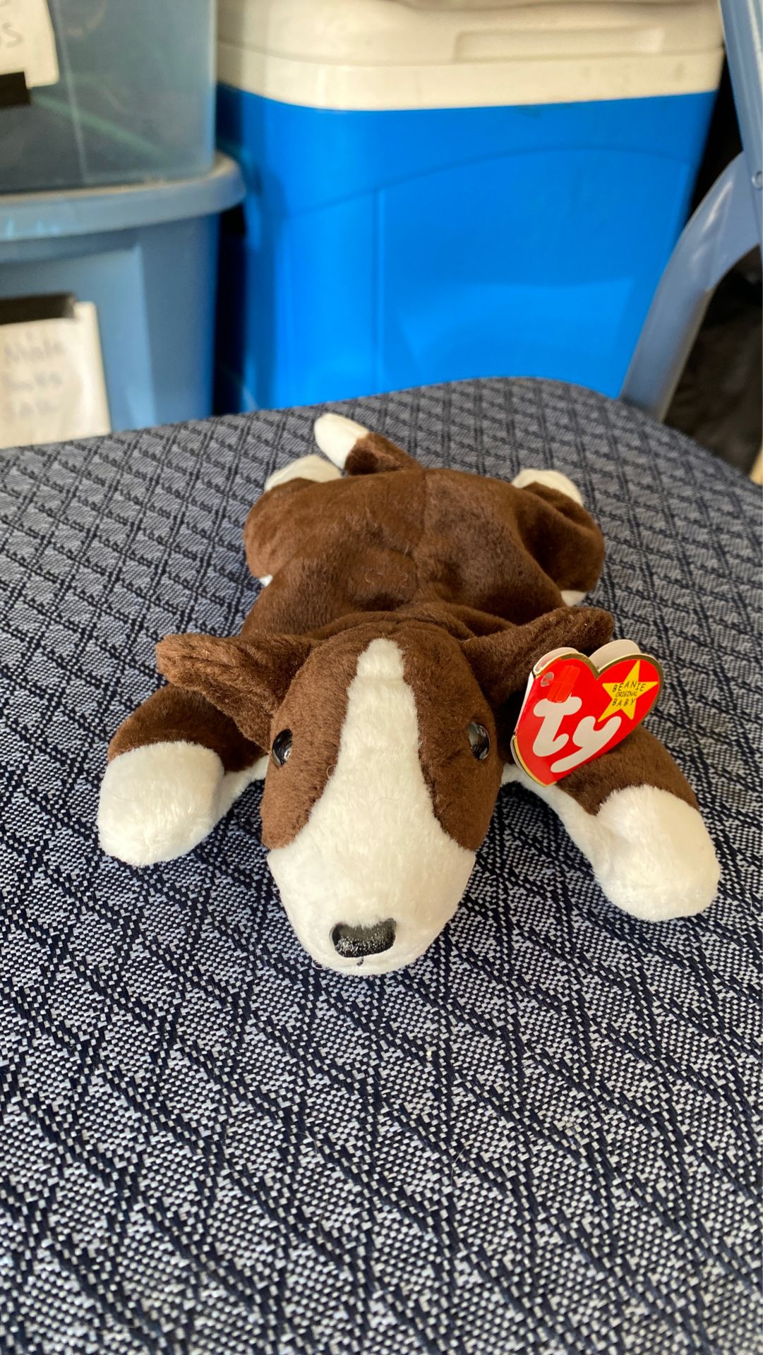 Bruno Beanie Baby