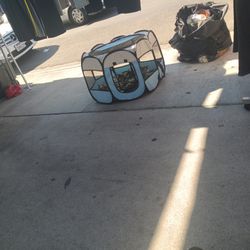 Cat House