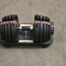 Bowflex Dumbell 