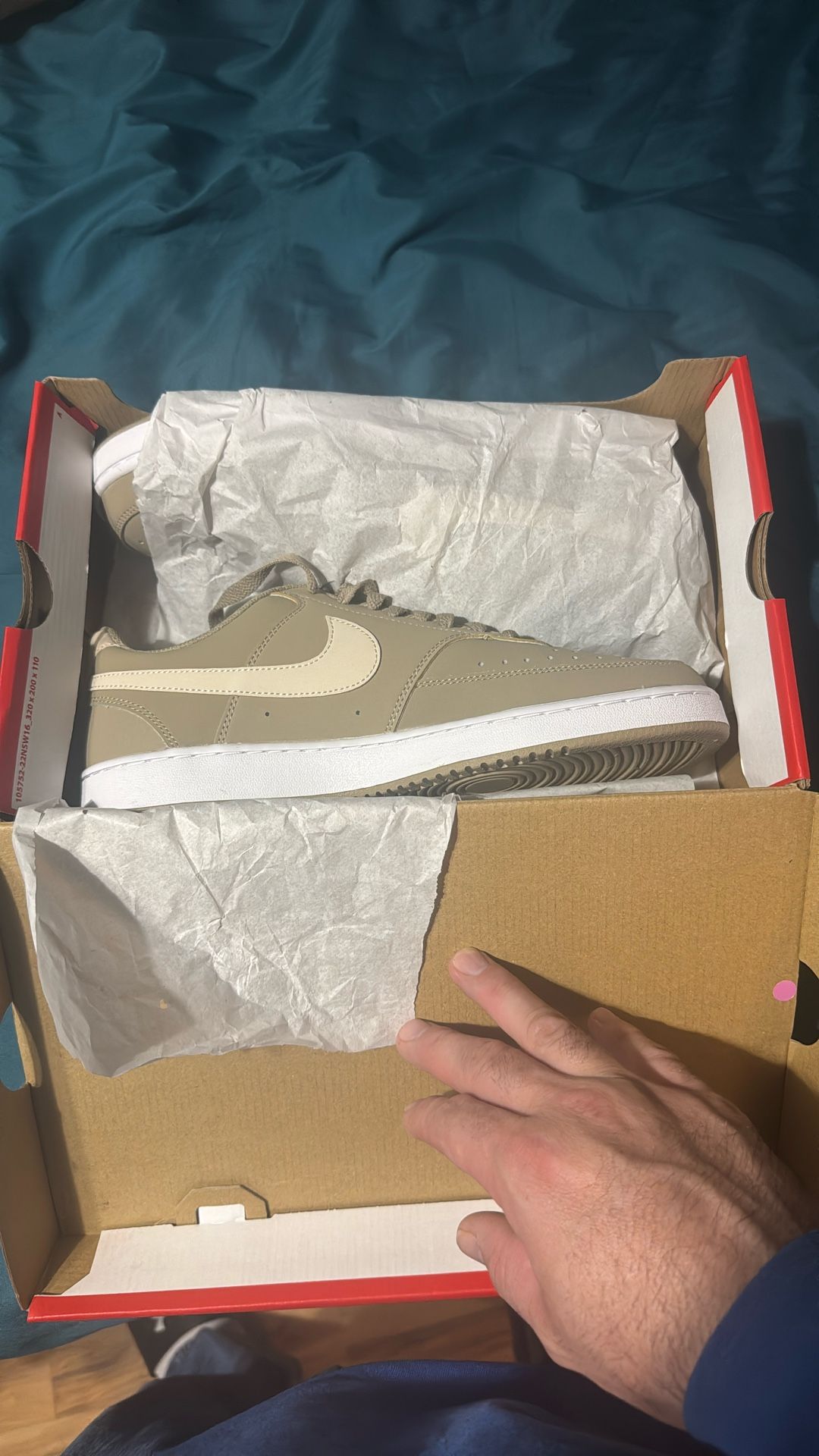 Nike Court Vision Low Shoes