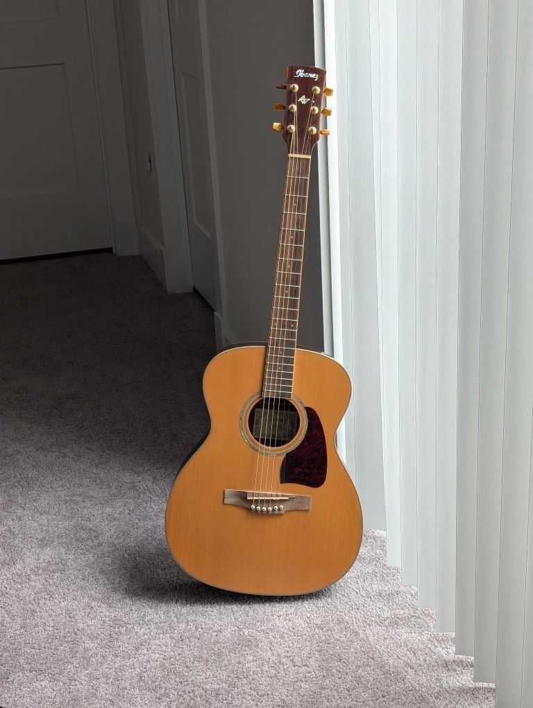 Ibanez Artwood Series Guitar AC30-NT-2Y-01