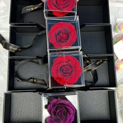 Eternal Roses