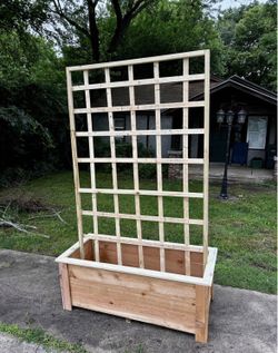 Planter Boxes with Trellis 🔥