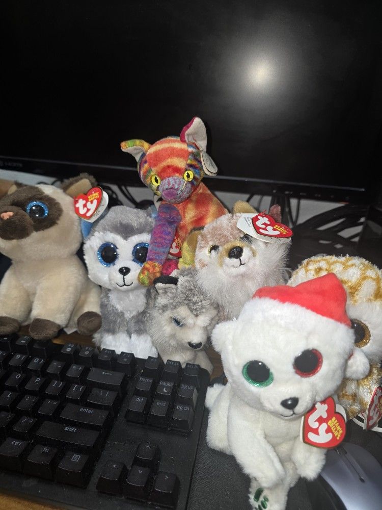 Beanie Babies Small Collection