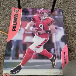 Carson Palmer Poster