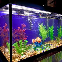 Finding Nemo Themed Aquarium w all Necessary Accessories. Pecera De Buscando a Nemo  con accesorios