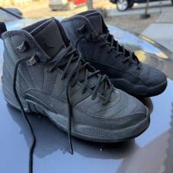Jordan 12’s