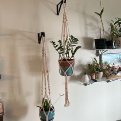 Wall Plant Hangers