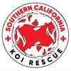 Southern California Koi Rescue