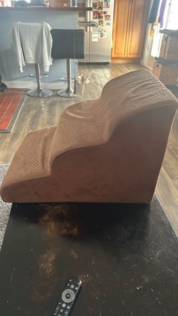 Pet steps
