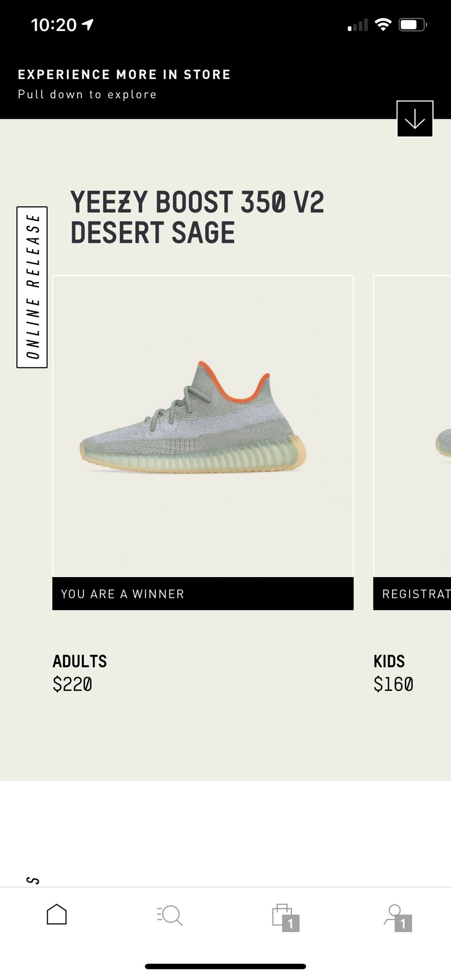 Yeezy desert sage - US 9 DS