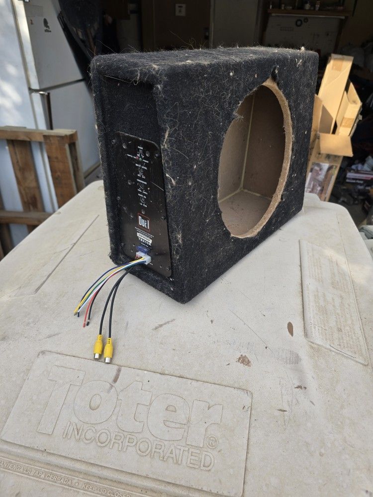 Dual TBX10A Amplifier And Box
