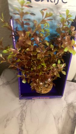 Fluval Aqualife Plant Scapes Red Ludwigia Artificial Aquarium Plant - New