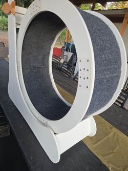 Cat wheel