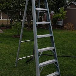 Fiberglass Ladder 12f 