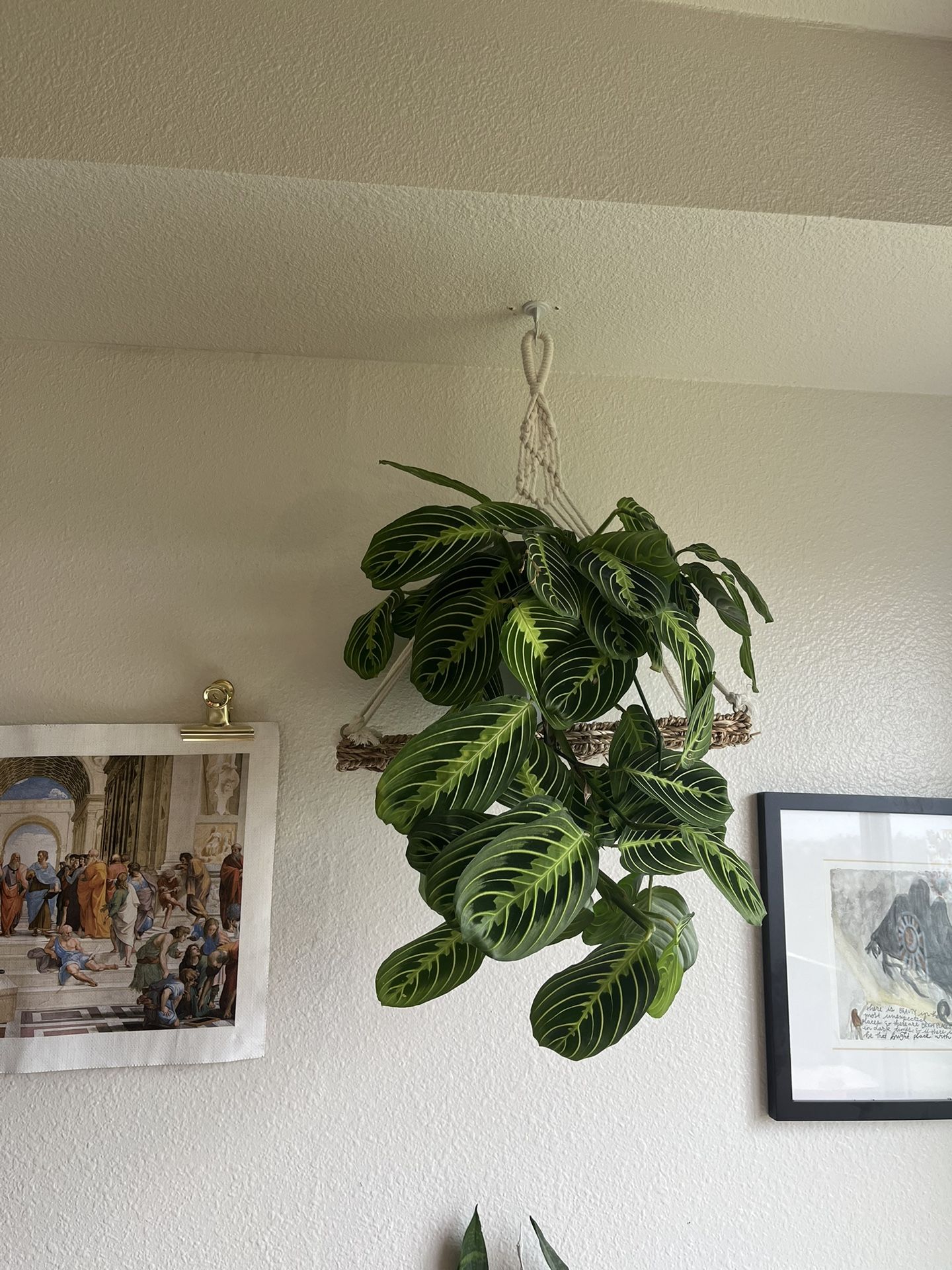 Macrame And Wicker Plant Hanger Shelf