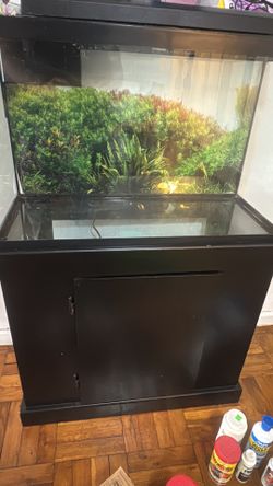 Fish Tank
