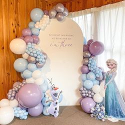 Frozen Balloon Set Up