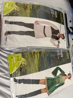 Shrek and Fiona costume