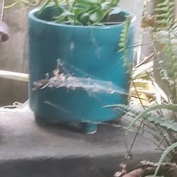 Small Ceramic Planter/Flower Pot